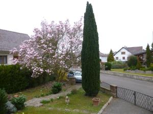 Appartements Jardin Fleuri : photos des chambres