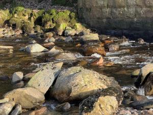 Kiln House, Keltneyburn
