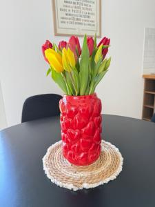 Duplex indépendant avec clim et parking St Donat