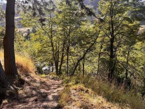 Cabañas Altos del Simpson