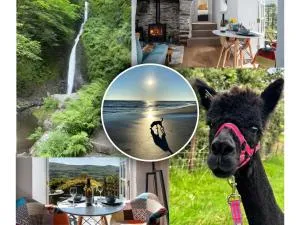 Little Cottage - Dogs welcome - Near Tywyn - Llanegryn