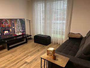 Penthouse with large terrace 5 km from Basel