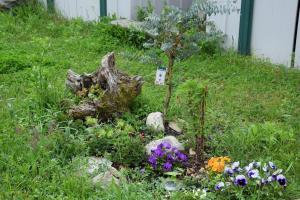 Appartements Cozy atmosphere 4pers near Eurexpo GroupamaStadium : photos des chambres
