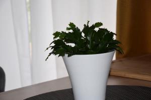 Appartements Cozy atmosphere 4pers near Eurexpo GroupamaStadium : photos des chambres