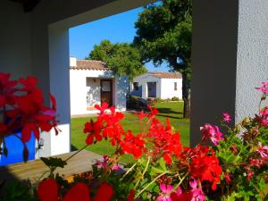 Agriturismo Li Scopi img37