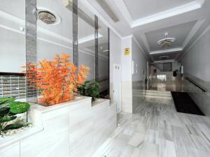 Caballero de Rodas DaNuria