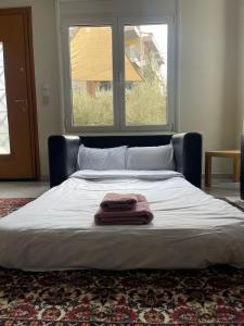 Asana by Agora Flats