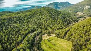 Majordoms Moli Beuda - Albanya