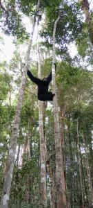 Umiyuki jungle tour only treking with us