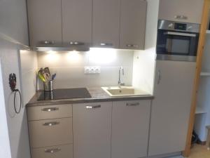 Appartements Studio cosy avec balcon, Wi-Fi, proche thermes et telecabine a Brides-les-Bains - FR-1-512-51 : photos des chambres