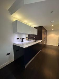 Chelsea Bridge Riverside 3 Bedroom Apt