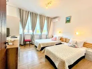 Къща за гости Веселина - Ивайловград - Borislavtsi