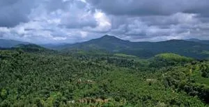 Adis Home - With Beautiful Waterfalls - Sringeri