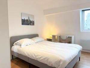 Apartment for 6 guests in Hypercentre de Rbx