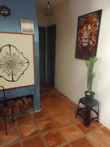 CasaBoaVibe Hostal