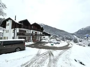 Maibrunnalm Top 7 SKI IN & SKI OUT - Bach