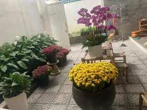 Secret Garden House - Hương Trà