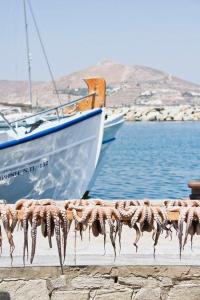 Noctua 006 Estepona Old Town 2