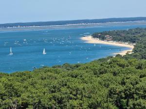 Appartements Studio en plein coeur du bassin d-Arcachon : photos des chambres