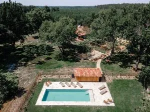 Maison Marie-Lys - Lévignacq