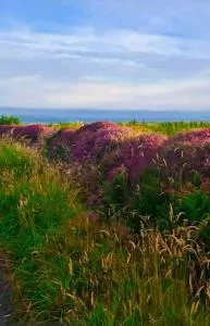 Heather Cottage Doolin - 利敦瓦纳