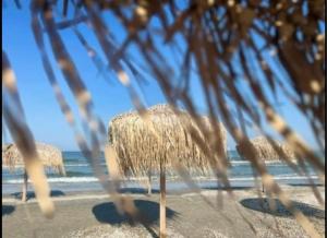 Apartament Studio Saphir