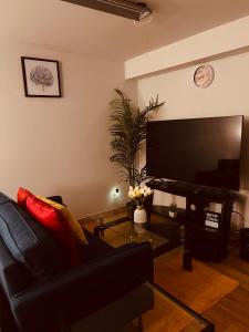 CozyHaven