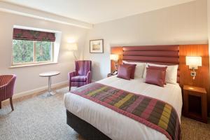 Executive Double Room room in Drayton Manor Hotel