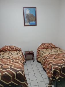 Departamento el REPOSO