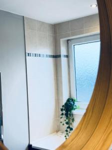 Top Floor Apartment with Castle Views