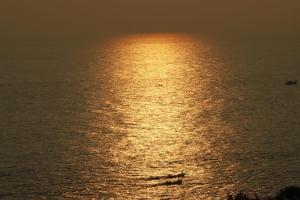 Thriphala ayurveda yogashram spiritual meditation