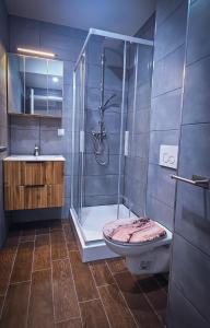 Sachsenheim Rooms & Apartments