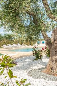 Vita Pugliese Holiday house