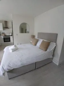 Flat 1 - Eign St Hereford - 赫里福德