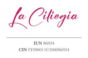 LaCiliegia monolocale img1