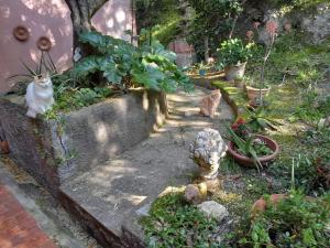 La Camera Tra Gli Ulivi Dream Finale