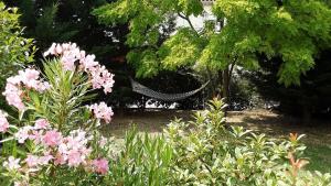 Appartements Les acacias : photos des chambres
