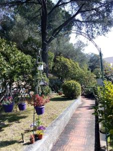 La Camera Tra Gli Ulivi Dream Finale