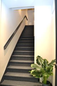 CA DEI BURANELLI - CENTRO CITTA