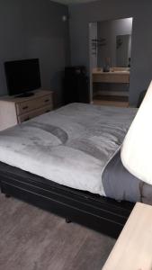 Gated King Bed Hotel Room 216