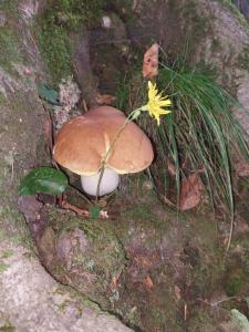 Casa con 2 Camere da Letto