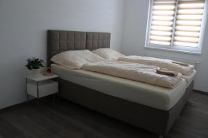 Apartmán Nerudova Zahrada