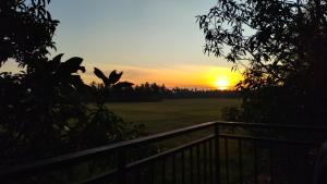 Village Mango Resort Yala