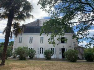 Maisons de vacances Chateau l-haurie with large garden, swimming pool and games room : photos des chambres