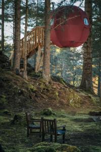 the tree tent highland hangout