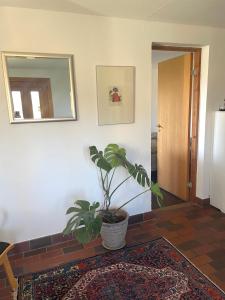 Lovely room with private bathroom - near Nature Reserve and Beach