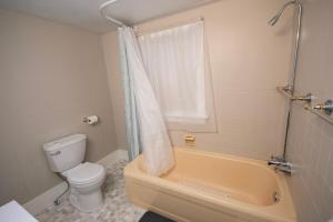 Gerties Eclectic Nest