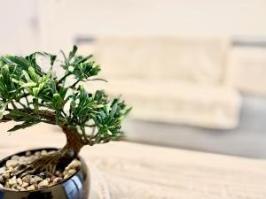 Appartements Le Jasmin WIFI Cosy : photos des chambres