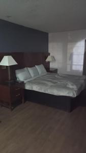 Gated Queen Bed Hotel Suite 217