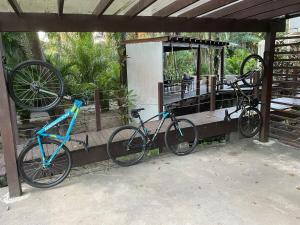 The Black Pool House em Busca Vida